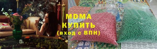 шишки Белокуриха